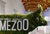 Mezoo